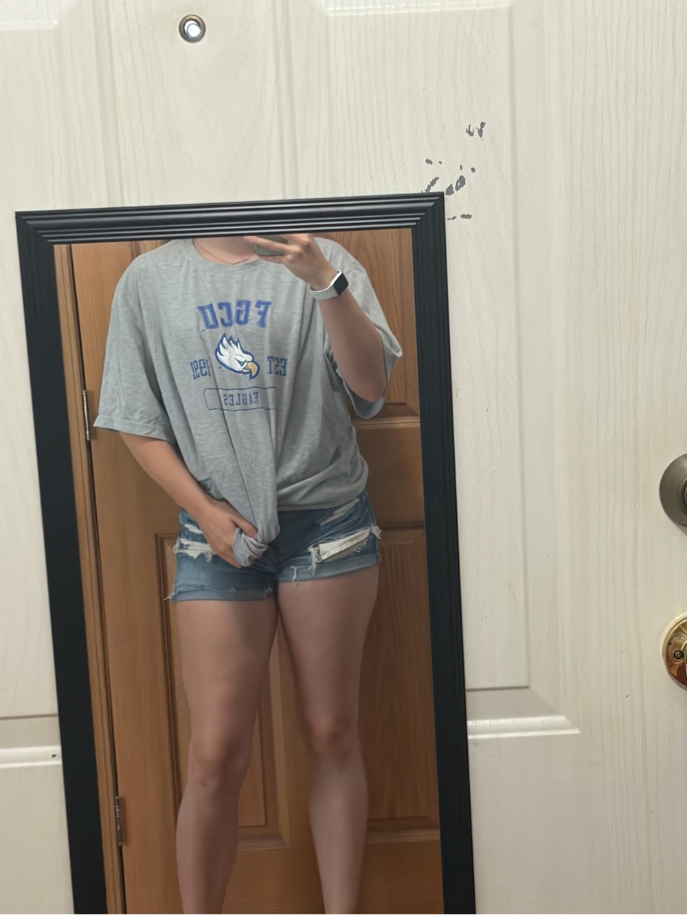 Champion fgcu Florida gulf coast university gray tshirt